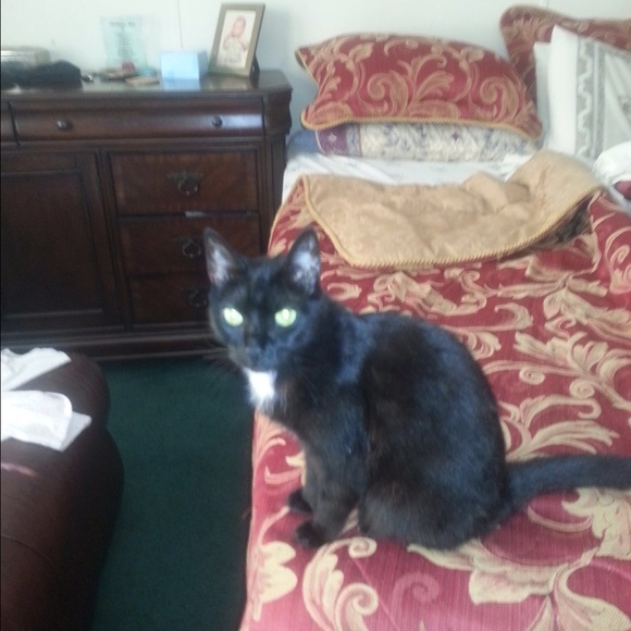 Profile Picture of Veronica Patton (@roni08shane) on Poshmark