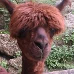 Profile Picture of Stephan Wöhrmann (@stephan.wohrmann) on Facebook