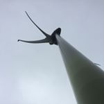 Thomas Swales - Instagram Profile Picture of Thomas Swales (@thomas.swales) on Instagram