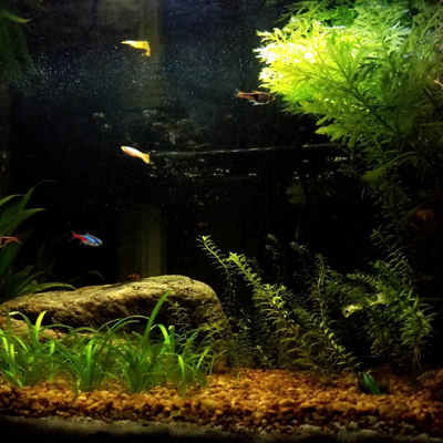 Profile Picture of Joe Rodman (@NeutralJoe) on Twitter