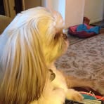 Profile Picture of Myrna Dougherty (@myrna.dougherty.96) on Facebook