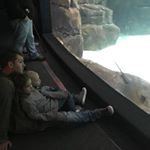 Profile Picture of Jake Crabtree (@jake.crabtree.14) on Instagram