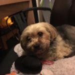 Profile Picture of Adam neale (@adam200000666) on Instagram
