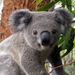 Profile Picture of Kendall Mackey (@kendallmackey) on Pinterest