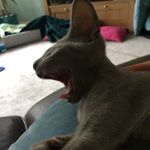 Profile Picture of Leo Hardwick (@leo_27th_h) on Instagram