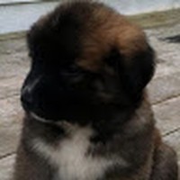 Profile Picture of Chloe Nugent (@chloe-nugent-13) on Quora