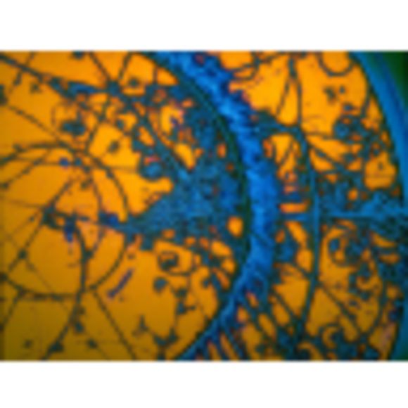 Profile Picture of Larissa Shaaked (@shaak8) on Poshmark