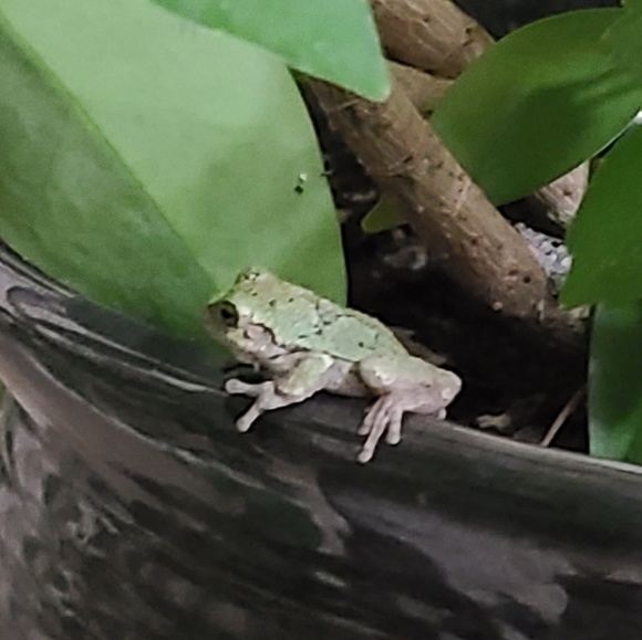 Profile Picture of Jason Gregory (@jasonpgregory) on Poshmark