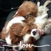 Profile Picture of Marilyn Frade (@marilyn.frade.9) on Facebook