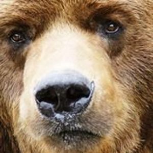 Profile Picture of Henry Paul (@henry.paul.79) on Myspace