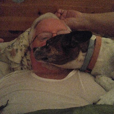 Profile Picture of Michael Nowell (@MichaelNowell8) on Twitter