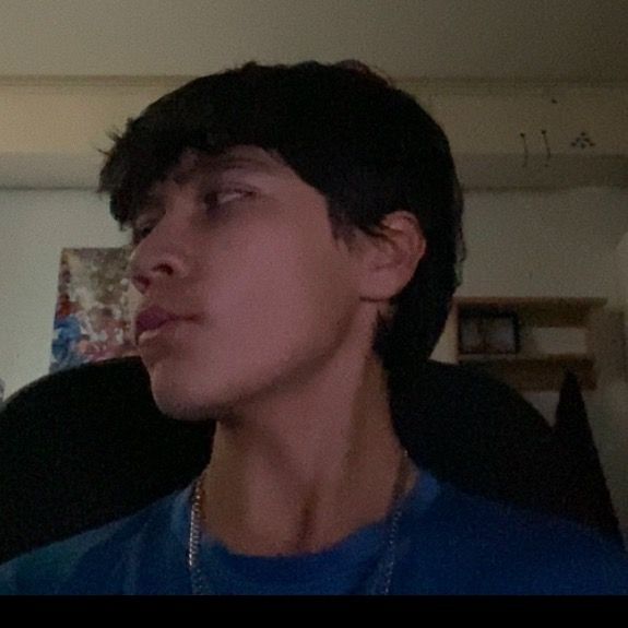 Profile Picture of Calvin (@calvin.bru) on Tiktok