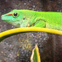 Profile Picture of Mark Kaczmarczyk (@mark-kaczmarczyk-3) on Quora