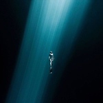 Profile Picture of Jose Campos (@fotografias submarinas chile) on Flickr