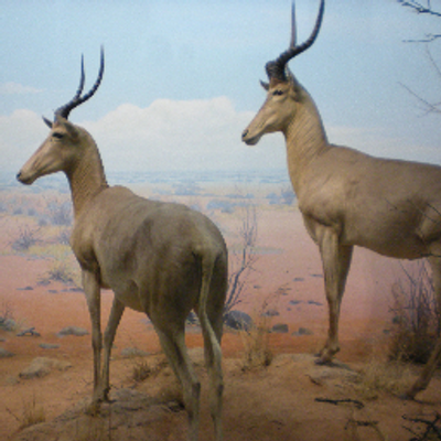 Profile Picture of Eli McCormick (@emccormick24) on Twitter