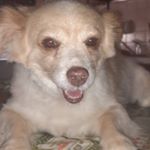 Profile Picture of Lori (@lollyzorzi) on Instagram