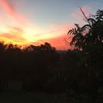 Profile Picture of Craig McLachlan (@craig.mclachlan.68) on Instagram