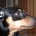 Profile Picture of Jacob Hoffmeier (@jacob.hoffmeier) on Facebook