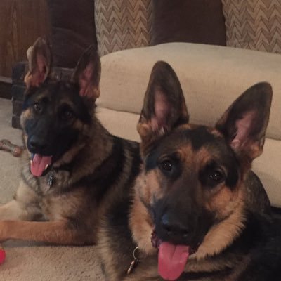 Profile Picture of Cindy Hunt (@hunt_cindy) on Twitter