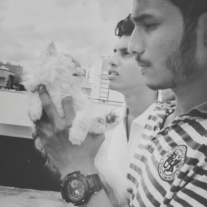 Profile Picture of ABHINAV (@abhinav_mohan) on Tiktok