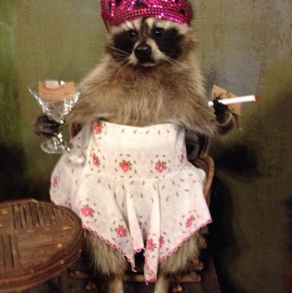 Profile Picture of Mike Weyer (@mgweyer) on Poshmark