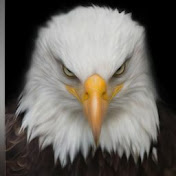 Profile Picture of Tony Estrada (@tonyestrada2208) on Youtube