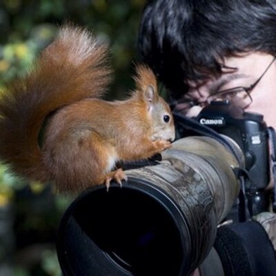 Profile Picture of Gary K. Mann (@GaryKMann) on Twitter