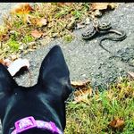 Profile Picture of HAL-E BERRY (@ciuhwhc) on Instagram