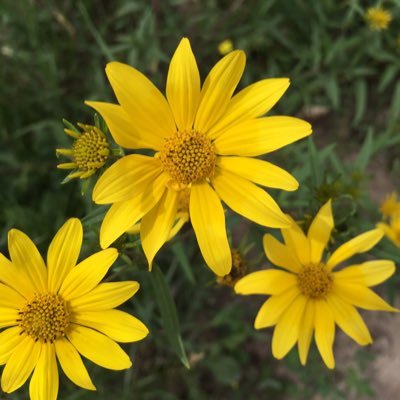 Profile Picture of Catherine Jestadt (@JardinTraveler) on Twitter