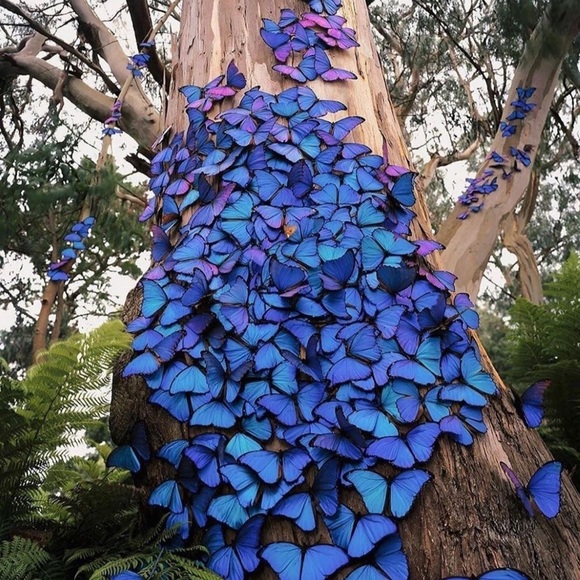 Profile Picture of Carrington Brantley (@mcbrant90) on Poshmark