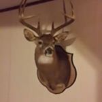 Profile Picture of John Calhoon (@calhoonjohn) on Instagram
