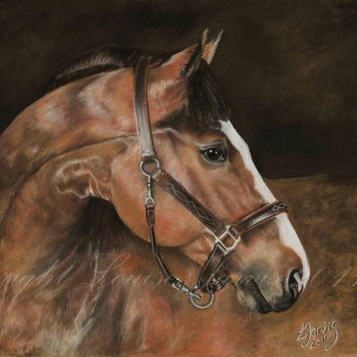 Profile Picture of Louise Jarvis Art (@LouiseJarvisArt) on Twitter