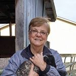 Profile Picture of Sharon Enge Anderson (@sharonanderson676) on Instagram