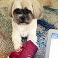 Quinn Dobbins - Quora Profile Picture of Quinn Dobbins (@quinn-dobbins) on Quora