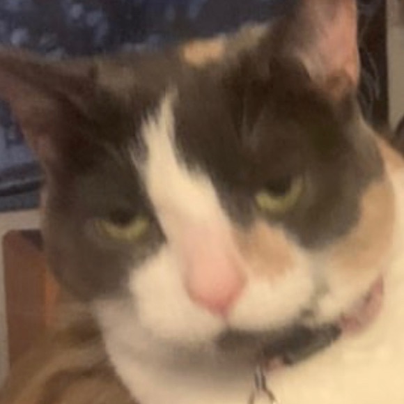 Ian Nagele - Poshmark Profile Picture of Ian Nagele (@iannagele) on Poshmark