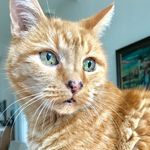 Profile Picture of Fritz & Anette (@devongirl1706) on Instagram