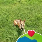 Sherry Wedge - Facebook Profile Picture of Sherry Wedge (@Sherry-Wedge) on Facebook