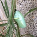 Profile Picture of Tim Moser (@timmoser354) on Instagram