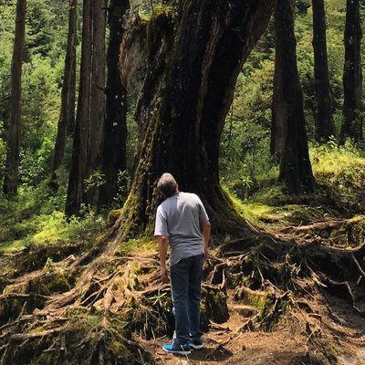 Profile Picture of Omar Quintanilla C. (@omamaoma) on Twitter