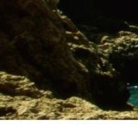 Chris Estevez - Quora Profile Picture of Chris Estevez (@chris-estevez) on Quora