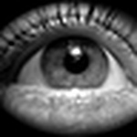 Profile Picture of Litchiway (@Litchiway) on Flickr