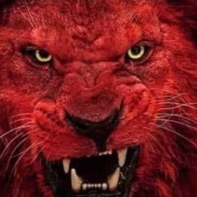 Profile Picture of EmmanuEl Freeman Eido 888-1696-1770-17-Naegaelin (@Zanukah) on Twitter