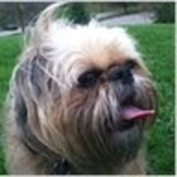 Profile Picture of Eric Panzner (@ericpanzner) on Poshmark