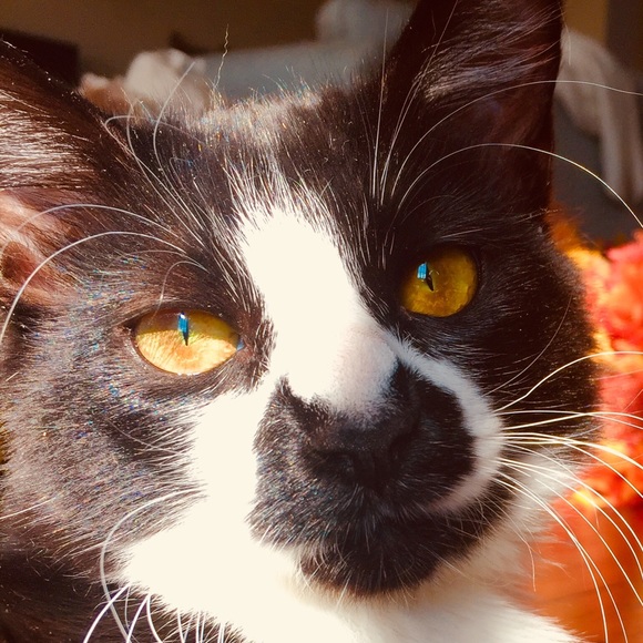 Profile Picture of Brianna Zubek (@poppy61619) on Poshmark