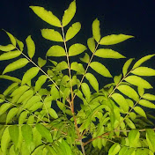 Profile Picture of Dustin Adams (@dustinadams2506) on Youtube