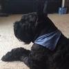 Profile Picture of ronaldmalkin (@ronaldmalkin) on Tiktok