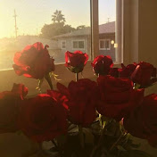 Profile Picture of Ahmed Naji (@My_Amina-Abdi) on Youtube