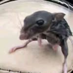 Profile Picture of Xander Pauwels (@xander.pauwels.52) on Facebook