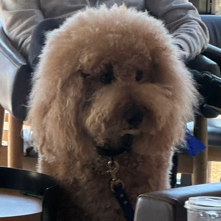 Profile Picture of Kerilin (@carolinenguyen86) on Tiktok