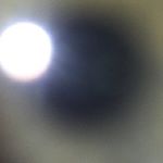Profile Picture of samuel pyle (@samuelpyle123) on Instagram